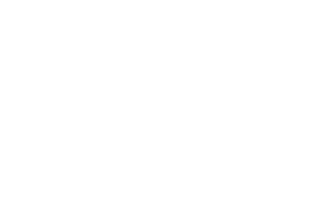 break-the-rules-logo-weiß